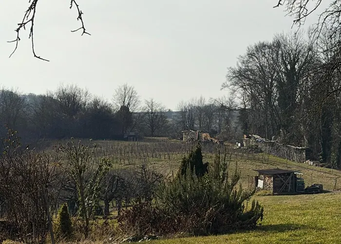 Landzeit Efringen-Kirchen